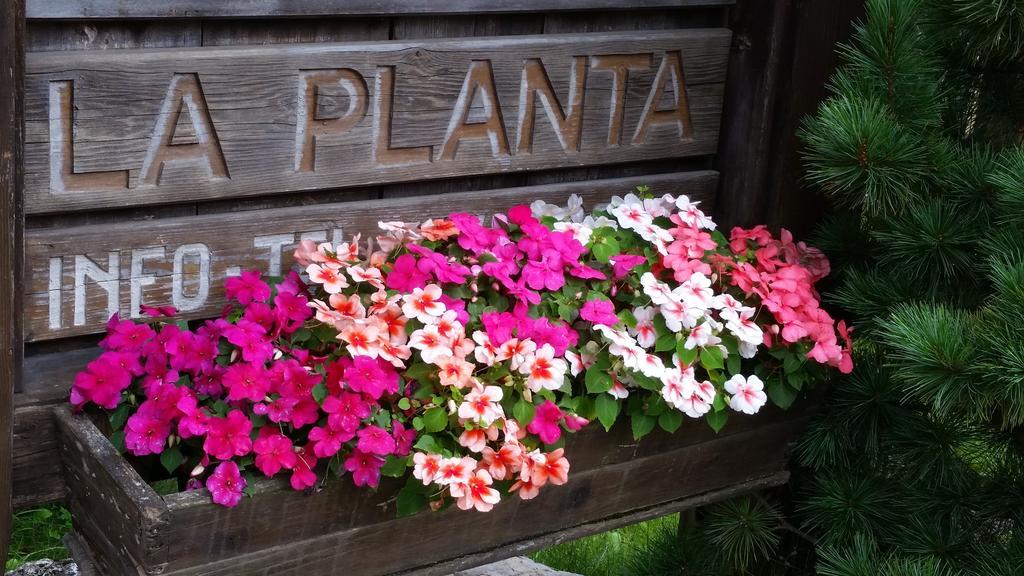 La Planta